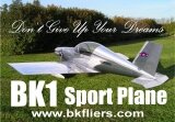 BK Fliers LLC BK1 BK Fliers LLC BK1