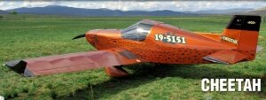 Morgan Aeroworks Cheetah